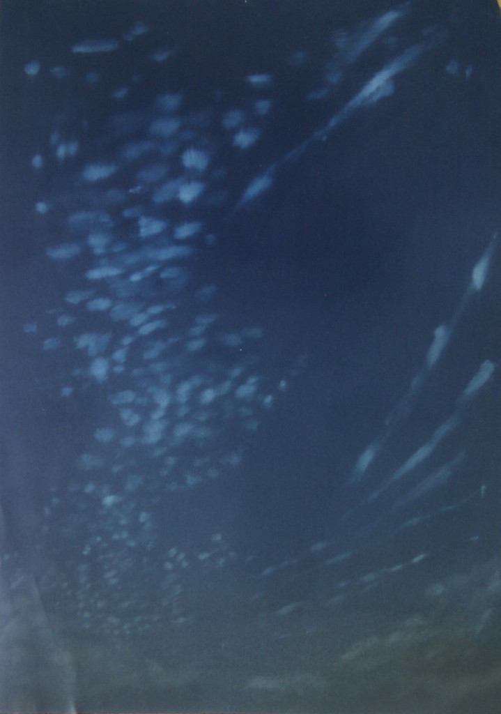 Big sky
